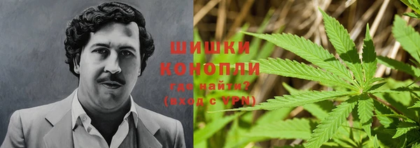 гидра Няндома