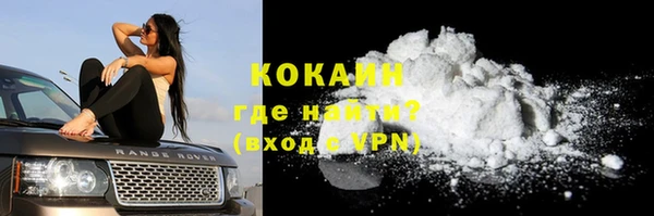 гидра Няндома