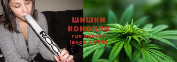 гидра Няндома