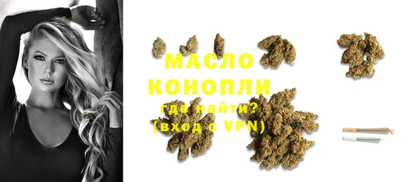 гидра Няндома