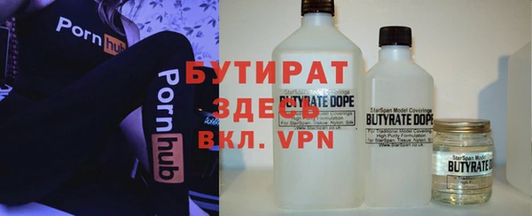 гидра Няндома