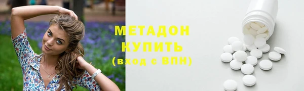 гидра Няндома