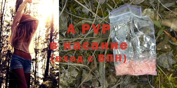 гидра Няндома
