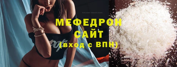 гидра Няндома