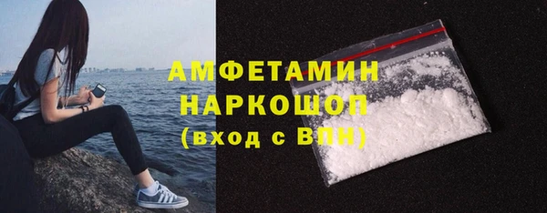 гидра Няндома